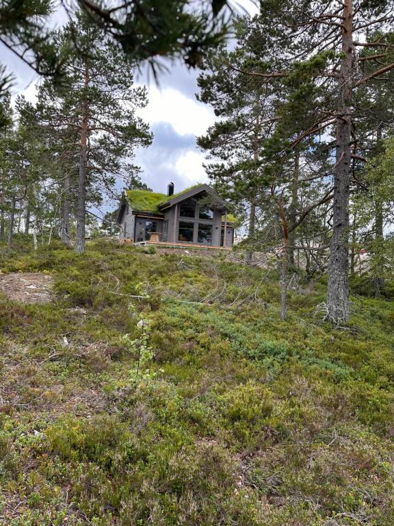 Helårs fjellhytte - Housity