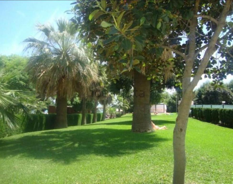 A garden outside Brise Marine