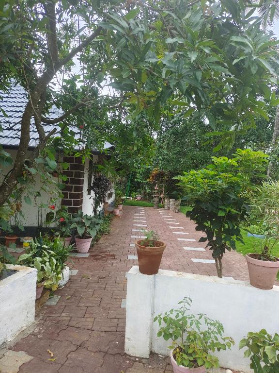 Zahrada ubytování CELESTIAL HOMESTAY