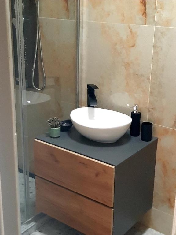 Koupelna v ubytování Apartmá Vrbice
