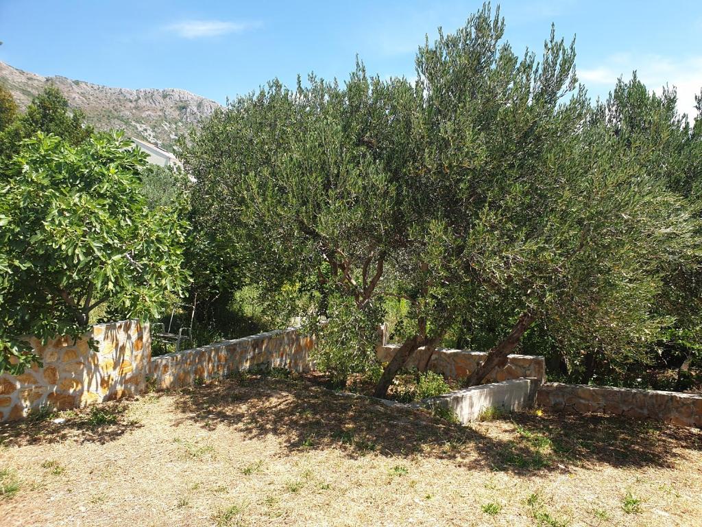 Príroda v okolí vily