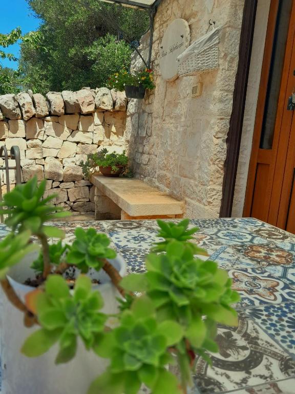 Fotografia z galérie ubytovania La Rosa dei Trulli B&B v destinácii Alberobello