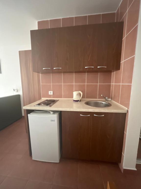 Kuchyň nebo kuchyňský kout v ubytování Guest house Perović