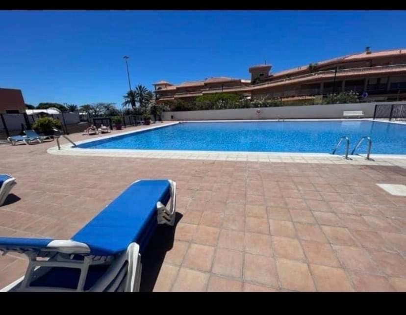 阿罗纳Appartamento los cristianos torres del sol的一座游泳池,旁边是一座蓝色长椅