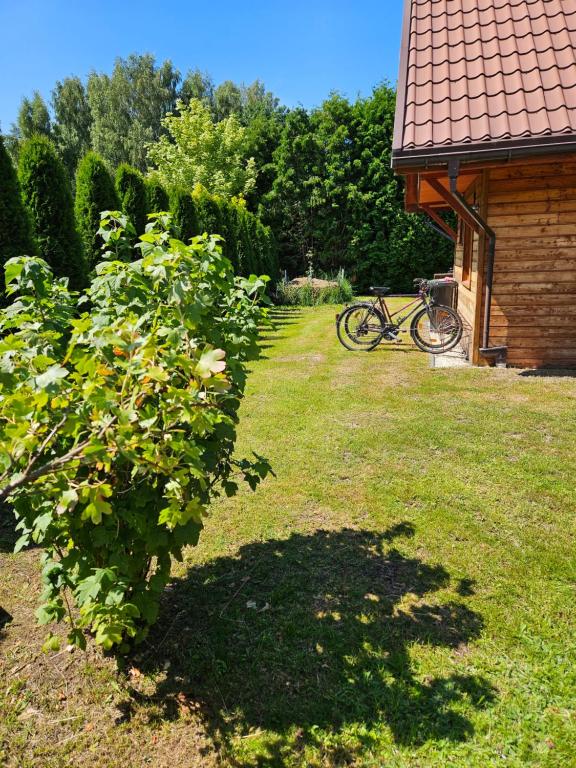 Zahrada ubytování Domki pod gruszą