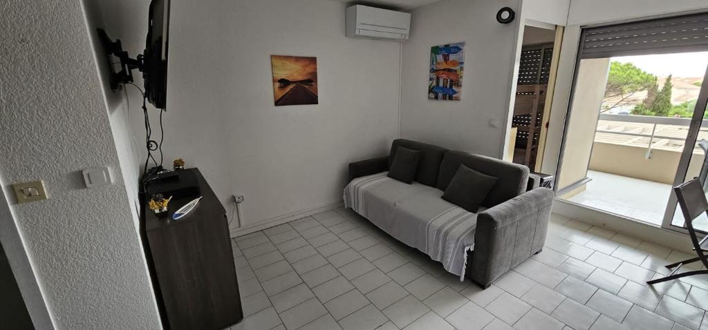 un salon avec un canapé et une fenêtre dans l'établissement Appartement studio cabine 26 m² en bord de mer, à Canet