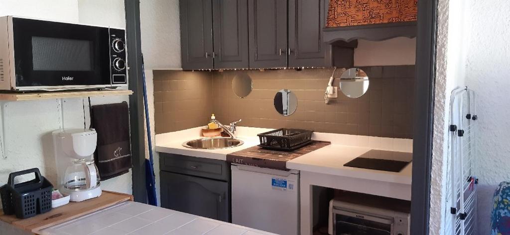 une petite cuisine avec un évier et un micro-ondes dans l'établissement Studio Résidence Val d'Escreins, à Guillestre