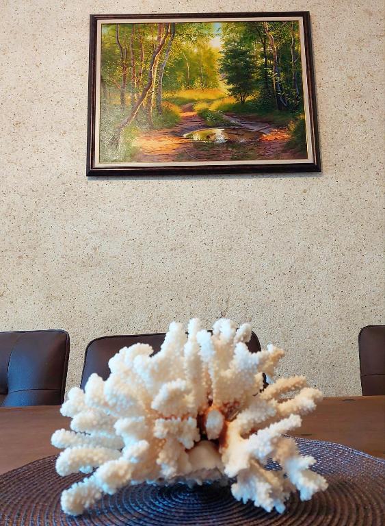 Fotografie z fotogalerie ubytování Forest View Apartment v destinaci Škorpilovci