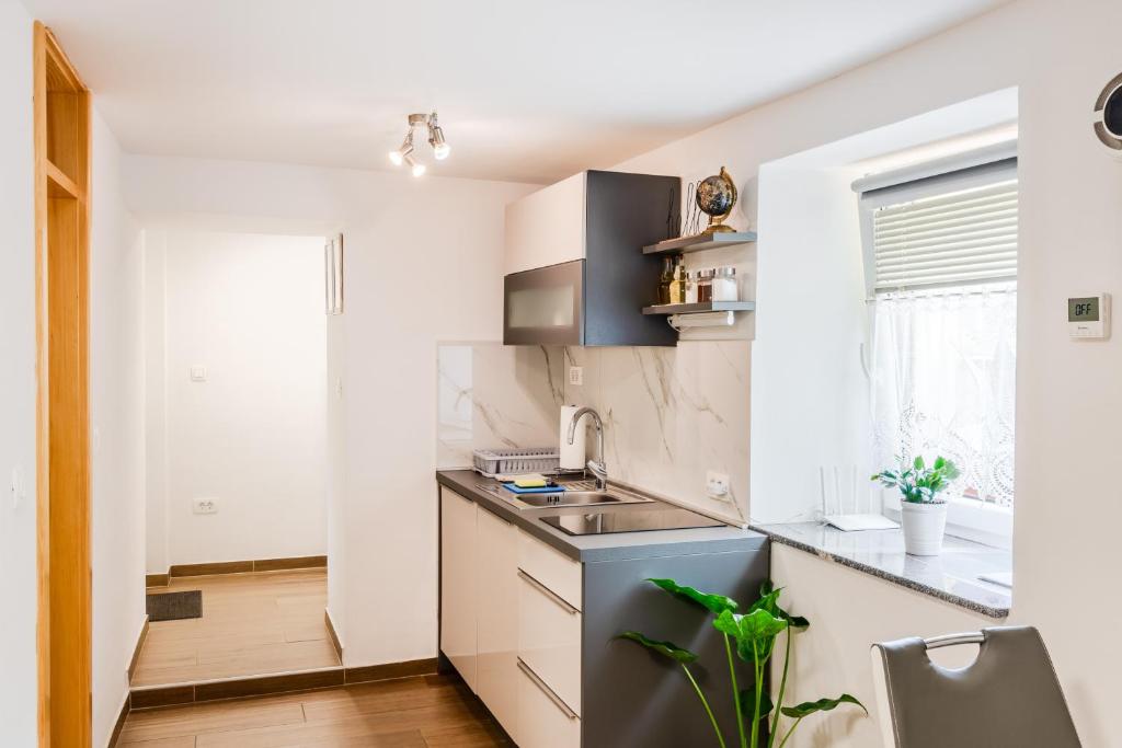 Kuchyňa alebo kuchynka v ubytovaní Apartmaji Mouse