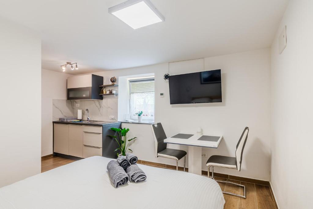 Kuchyňa alebo kuchynka v ubytovaní Apartmaji Mouse