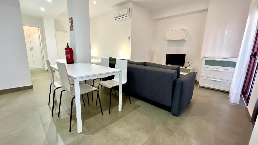 Apartamentos Pintor Losada - 14