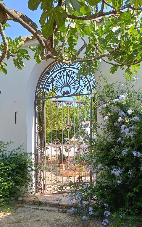 an open gate in a garden with flowers at Finca Olivo Llorón in Montilla