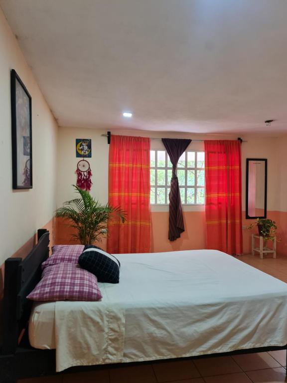 Ένα ή περισσότερα κρεβάτια σε δωμάτιο στο Jardín de los Anturios, Xico