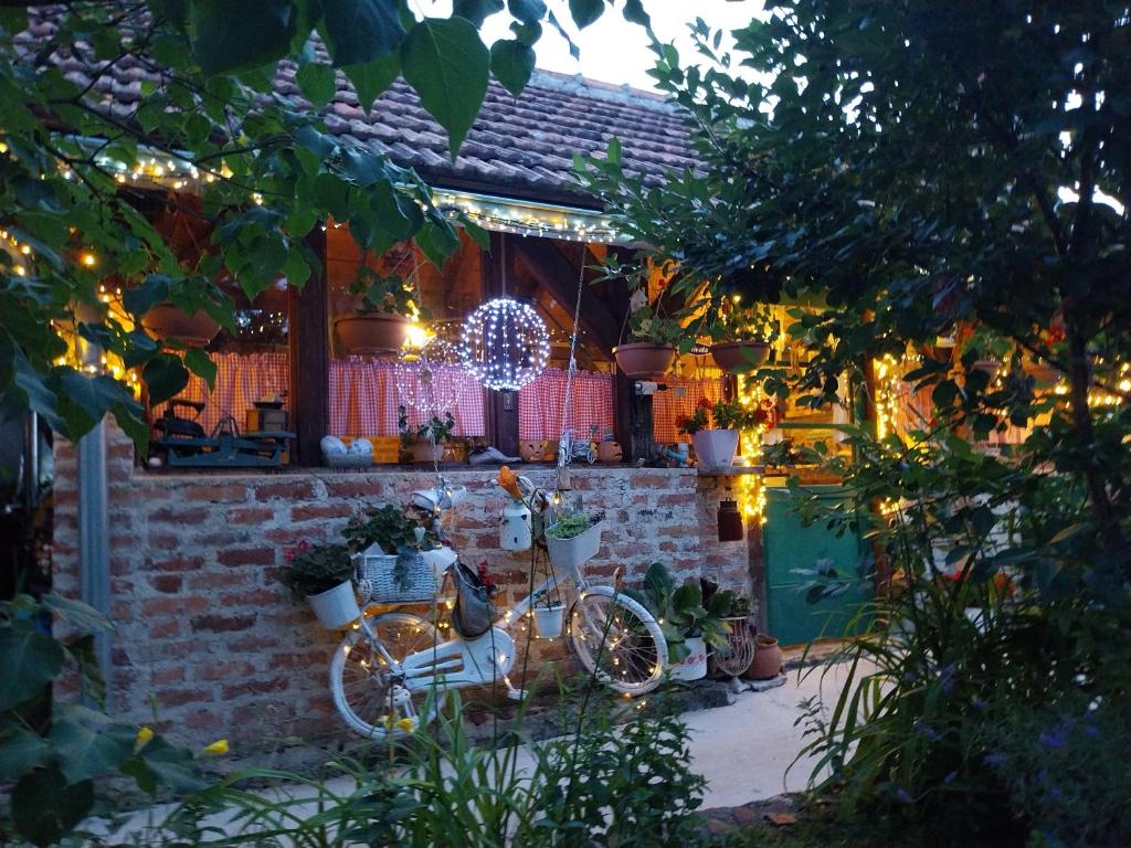 Ogród w obiekcie Apartment Ada bed & breakfast