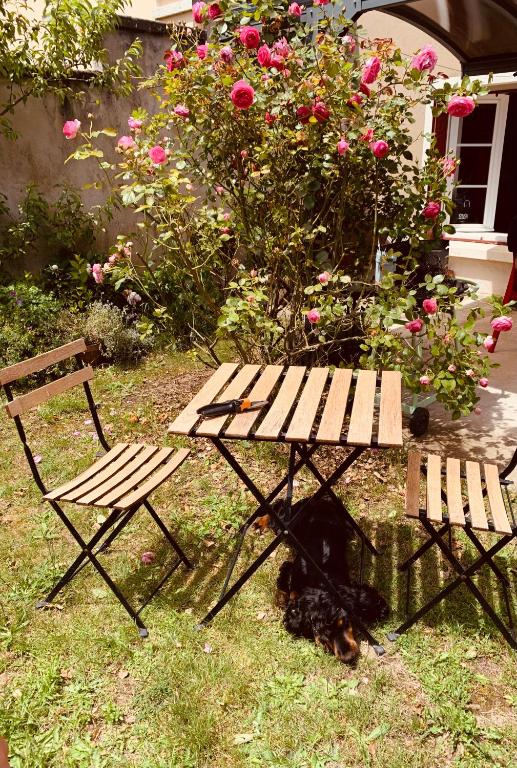 un chien allongé à côté d'une table de pique-nique et d'un banc dans l'établissement Ibis Rouge, à Villars-les-Dombes