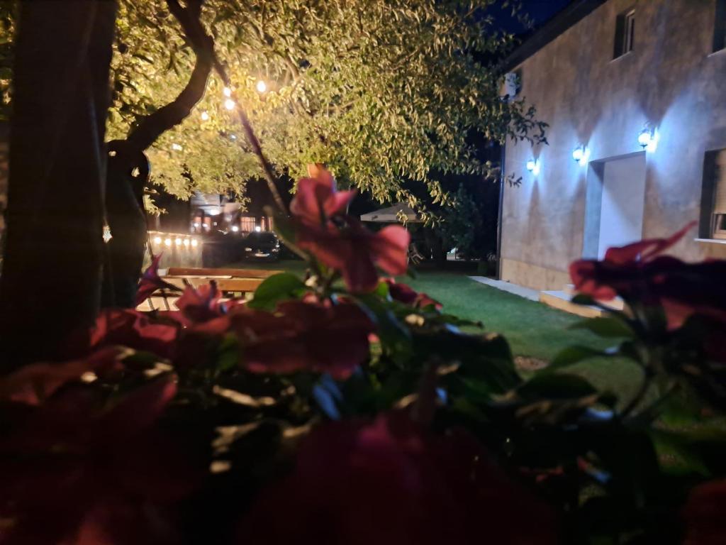 Rooms Lida & Friendly home - 10