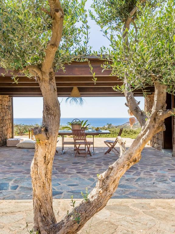 a tree in front of a building with a table at Dammuso Meraki in Pantelleria