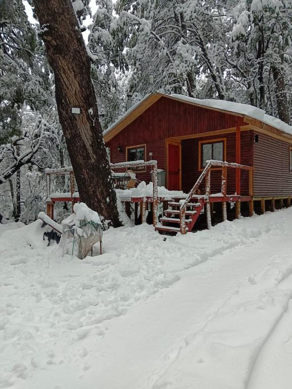 a log cabin in the snow next to a tree at Cabañas Termas de Chillán in Las Trancas
