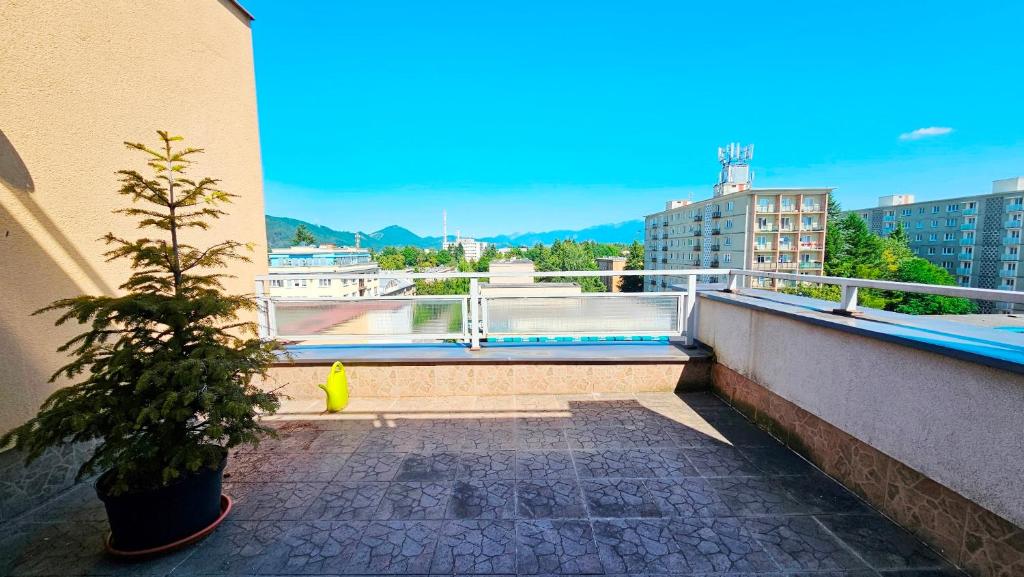Apartmán Bulvár