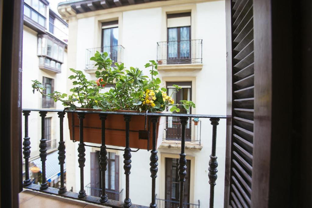 una maceta en un balcón con un edificio en Pensión San Jerónimo, en San Sebastián