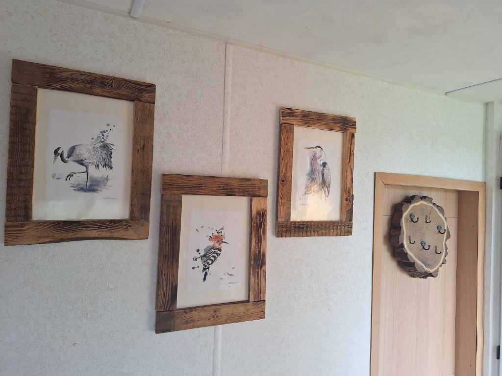 Fotografie z fotogalerie ubytování Domek gościnny v destinaci Kaleńsko