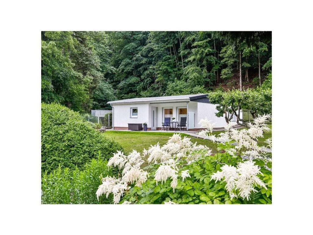 une maison blanche au milieu d'une cour dans l'établissement Naturgeist Comfortable holiday residence, à Nöschenrode