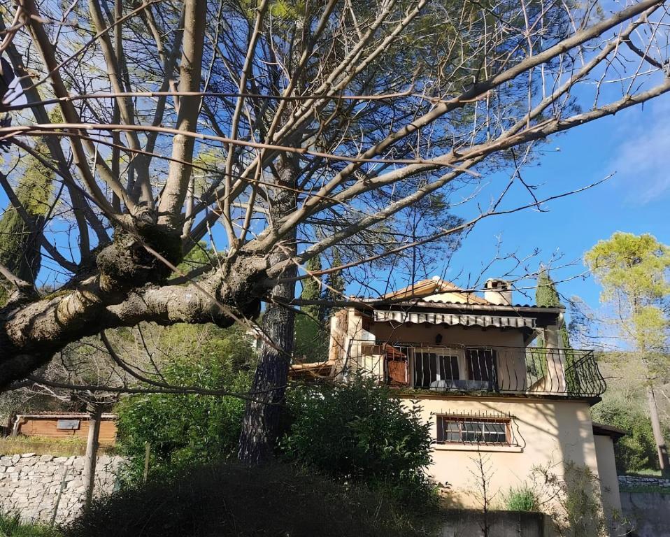 une vieille maison avec un arbre en face dans l'établissement Le Mazet des oliviers, vue panoramique, à Saint-Hippolyte-du-Fort