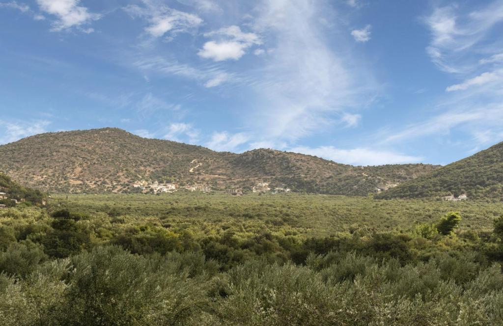 Kép Casa Lakónia in Crete Island szállásáról Éxo Lakkónia városában a galériában