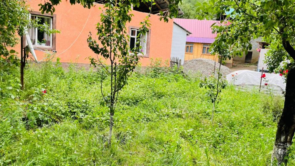 Zahrada ubytování Гостевой дом Айнура