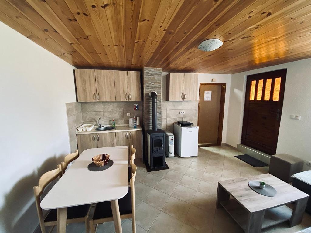 Kuchyň nebo kuchyňský kout v ubytování Holiday Home Apartman Aco