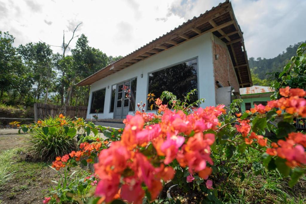 Quaint Cabin Walk to Batur Lake Images