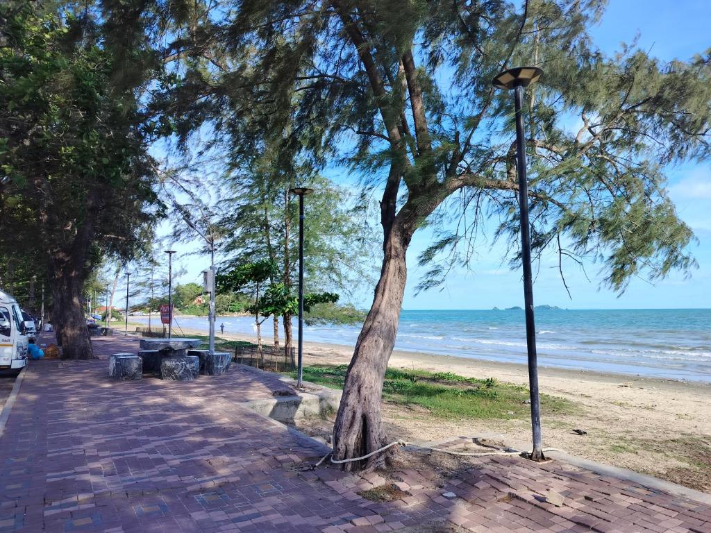 a tree on a sidewalk next to the beach at ไกล้ทะเลอยู่แบบธรรมชาติ in Ban Khao Yai Chum