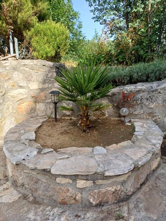 Vonkajšia záhrada v ubytovaní Ambiente