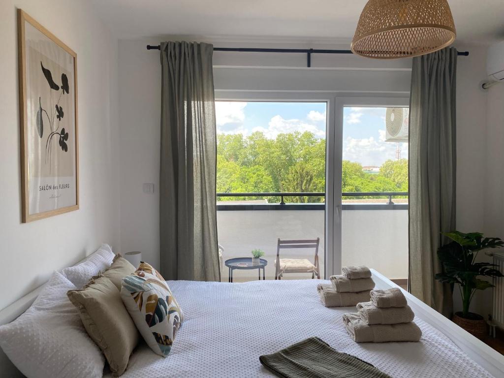 una camera da letto con un letto e una grande finestra di Studio Apartman Boho a Sombor