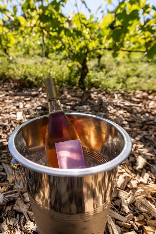 Zahrada ubytování Holmegaard vin og glamping