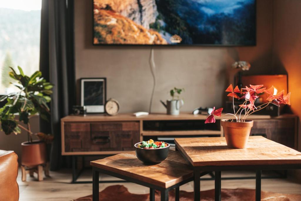 TV a/nebo společenská místnost v ubytování Appartement thématique: Voyage Industriel