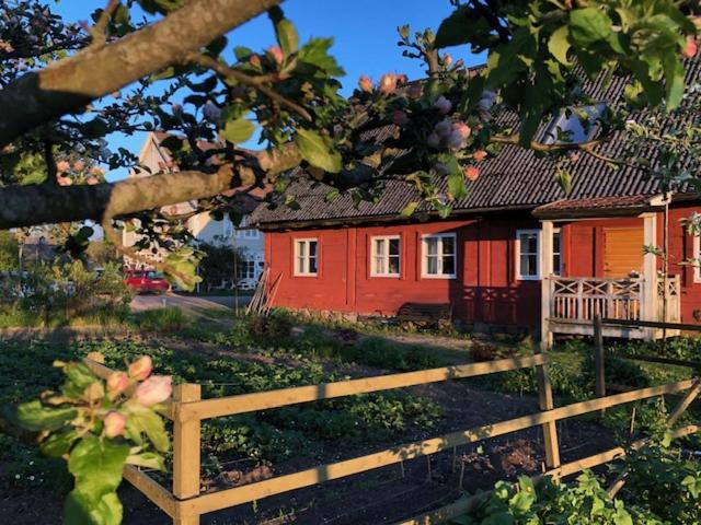 Zahrada ubytování Ängaröds Gård