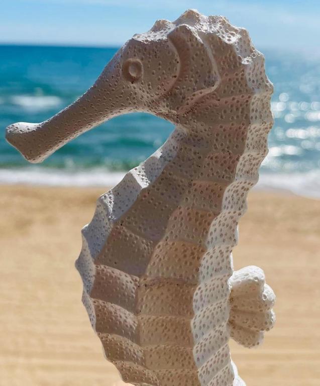 a statue of a seahorse on the beach at Caballito de Mar in Tavernes de Valldigna