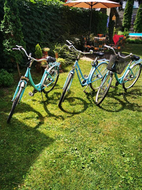 Attività di ciclismo presso l'appartamento o nelle vicinanze