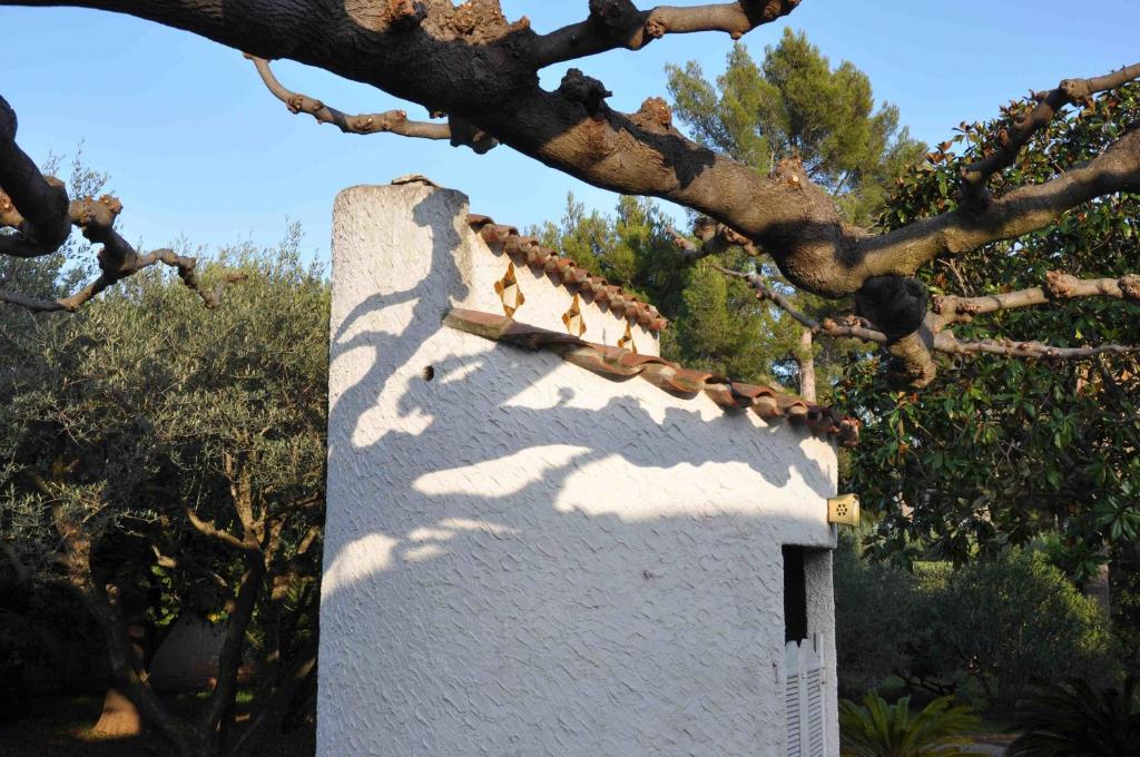 ein weißes Gebäude mit einem Baum davor in der Unterkunft Du Coté de Chez Soi in La Ciotat