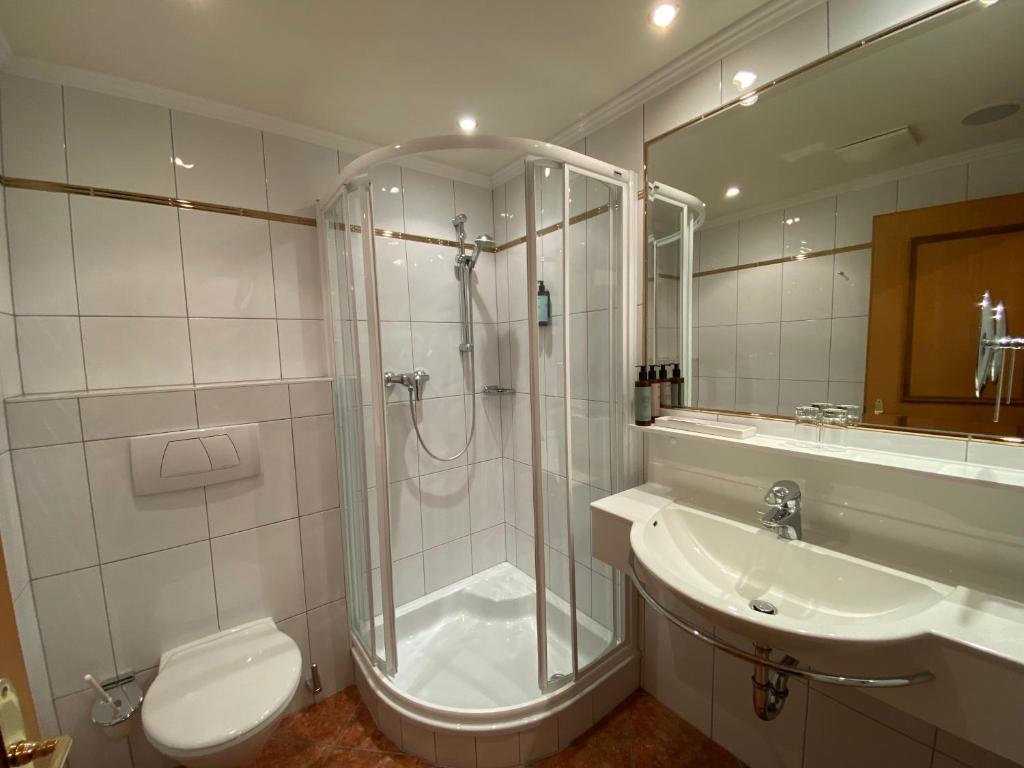 Hotel Steiner Superior - 3