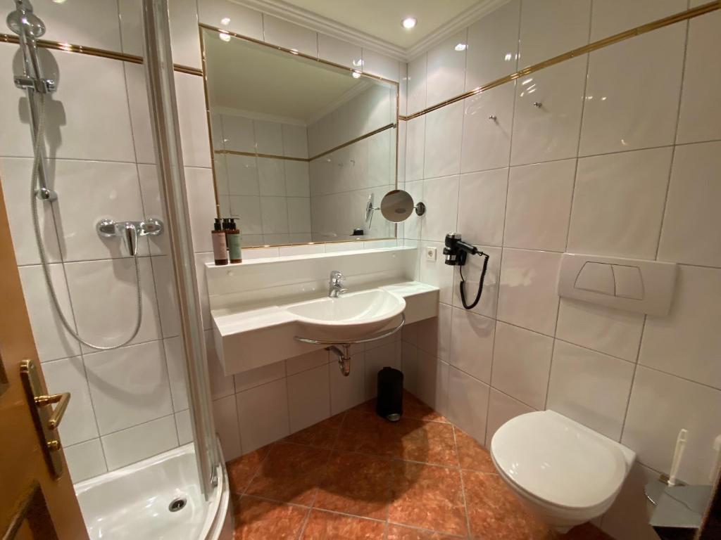 Hotel Steiner Superior - 12