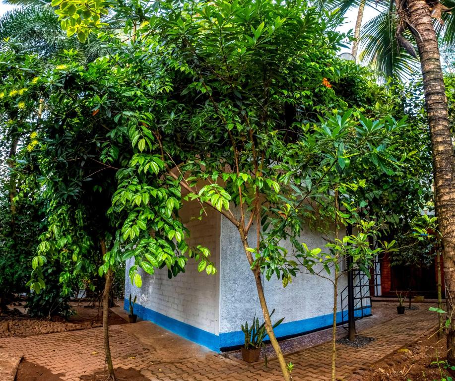 Zahrada ubytování JayS Place Matale