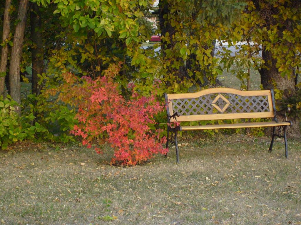 Zahrada ubytování Maple Leaf Motel Emerson