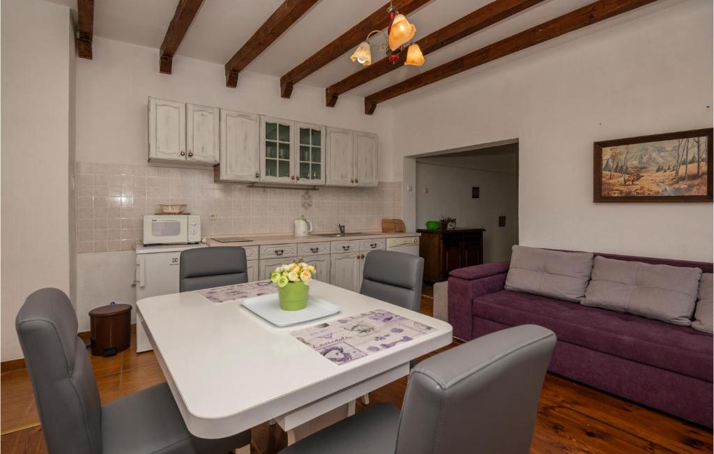 Kuchyňa alebo kuchynka v ubytovaní 2 Bedroom Nice Home In Baska Voda