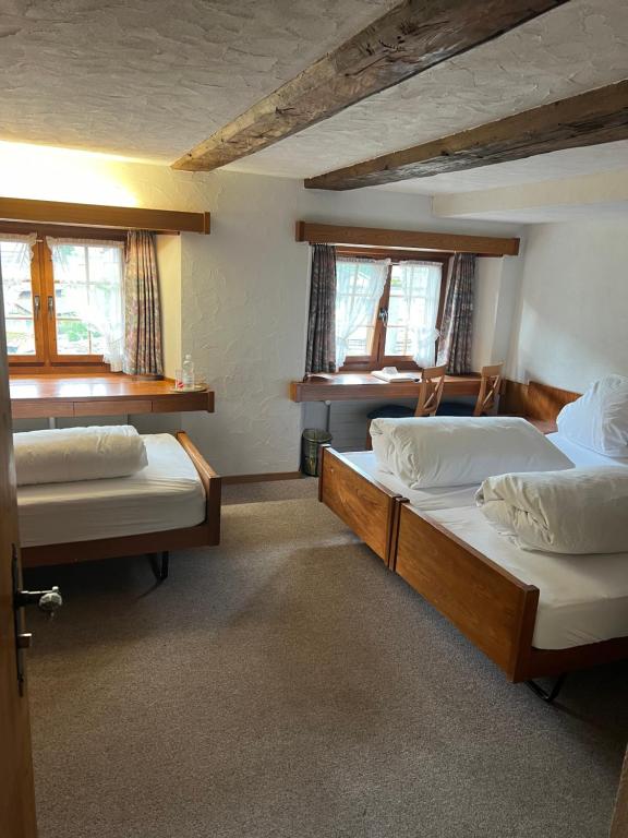 Fotografie z fotogalerie ubytování Hotel Piz Tambo v destinaci Splügen