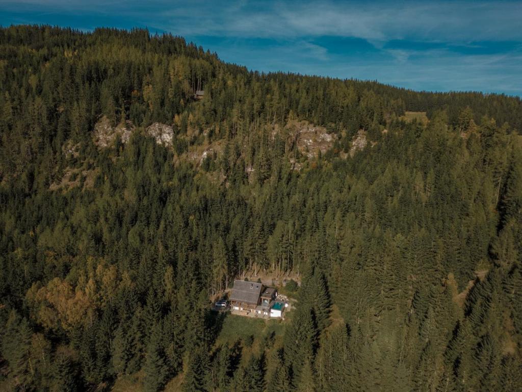 Príroda v okolí horskej chaty