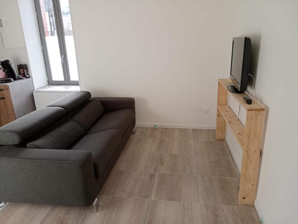 TV a/nebo společenská místnost v ubytování Appart proche toutes commodités