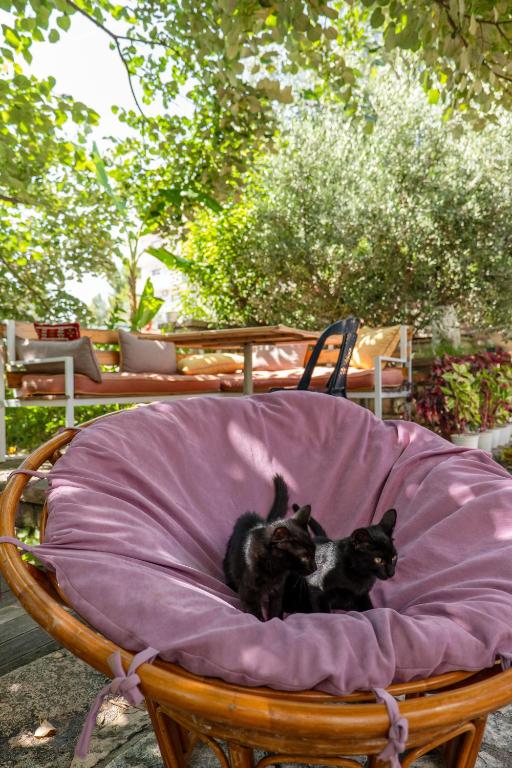 Domácí mazlíčci ubytovaní s hosty v ubytování Villa Green Garden