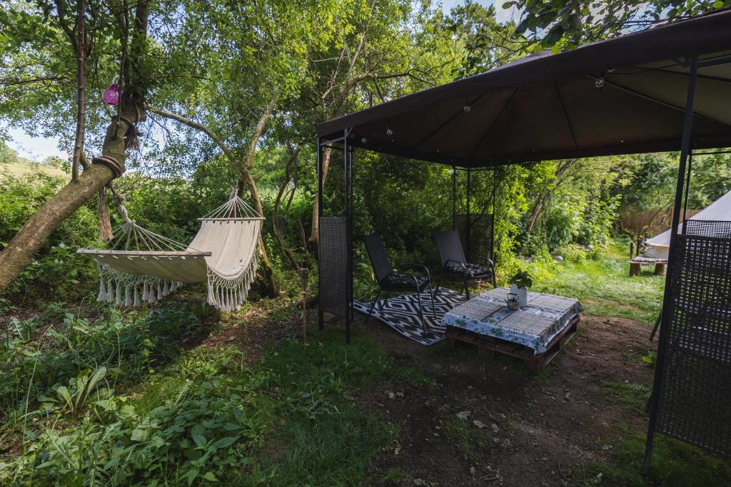 Κήπος έξω από το Glamping Hive